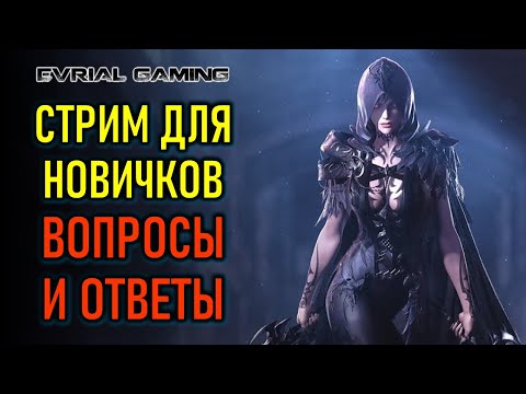 Видео: Стрим для новичков Lost Ark (Лост Арк): вопросы, ответы, советы