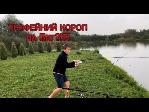 Видео: Коропова рибалка. Платний ставок м. Рівне.  Просто шалений кльов після дощу!!