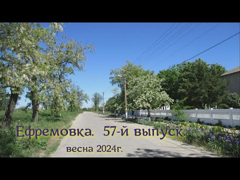 Видео: Ефремовка  , 57 -й выпуск.