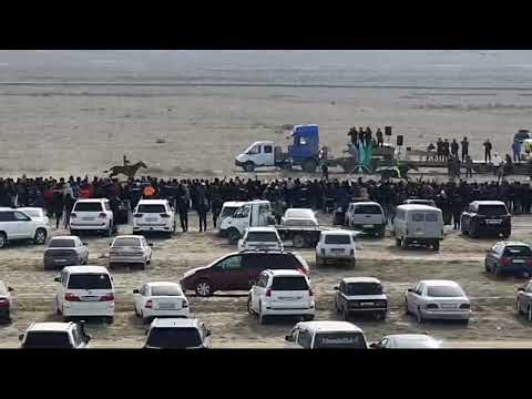 Видео: 13-03-2024 ж ОТПАН ТАУ Мұңал ата ұрпақтарының ұйымдастыруымен өткізілген бәйге