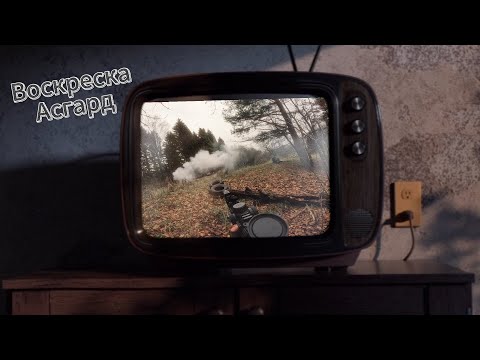 Видео: АСГАРДСКИЕ ДВИЖЕНИЯ.СНЕГИРИ В ДЕЛЕ.