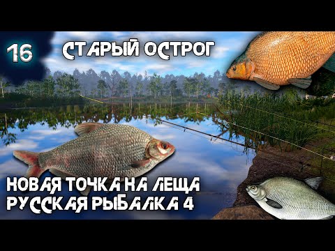 Видео: Русская рыбалка 4 - Рабочая точка на Леща ! Старый острог [#16]