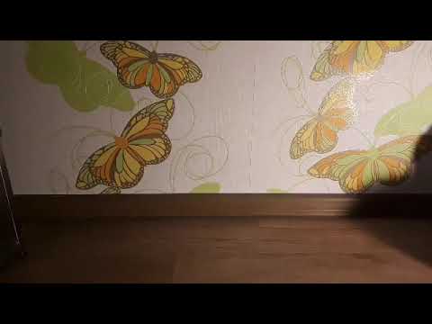 Видео: Моя коллекция мягких игрушек 🧸🧸🧸