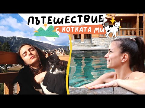 Видео: На спа почивка с котката ми 😂 | Наложи се да си тръгна по-рано