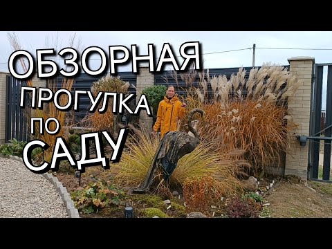 Видео: Осень играет красками🍁🌿🍂 Время насладиться красотой, цветами, ароматами. Обзор сада