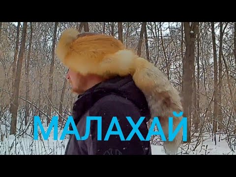 Видео: МАЛАХАЙ!!! Сшил шапку из лисы!