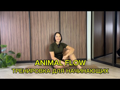 Видео: ANIMAL FLOW ТРЕНИРОВКА ДЛЯ НАЧИНАЮЩИХ