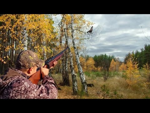 Видео: Охота с мелкашкой на рябчика! Больше я с ним не охочусь!