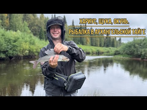 Видео: ХАРИУС, ЩУКА, ОКУНЬ. РЫБАЛКА В ВЕРХОВЬЯХ ТАЁЖНОЙ РЕКИ АРХАНГЕЛЬСКОЙ ОБЛАСТИ.