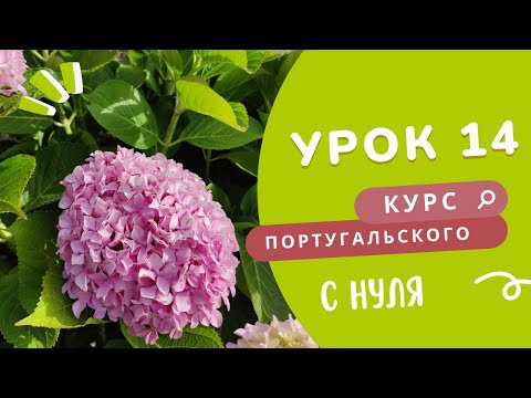 Видео: Курс португальского. Урок 14