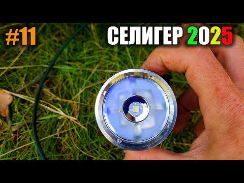 Видео: СЕЛИГЕР 2025 ЧАСТЬ 11