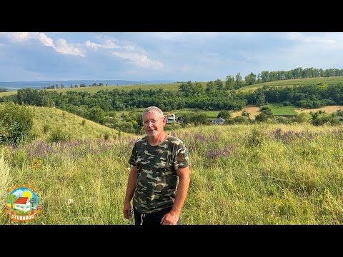 Видео: ЛЕТО В ДЕРЕВНЕ, наше разнотравье, мёд будет!