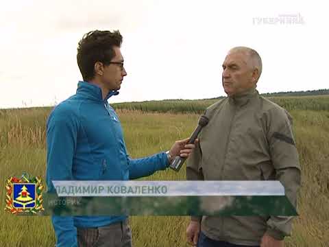 Видео: КРАЙ БРЯНСКИЙ -  ЖИРЯТИНСКИЙ РАЙОН  03 10 17