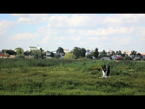 Видео: Дубовець: незнана історія Дубна