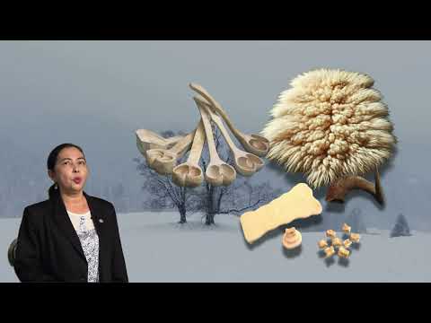 Видео: Қазақ халқының ұлттық қолөнерінің қалыптасуы мен дамуы