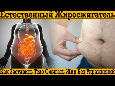 Видео: Природный Жиросжигатель Ждет Пока Ты Его Включишь!