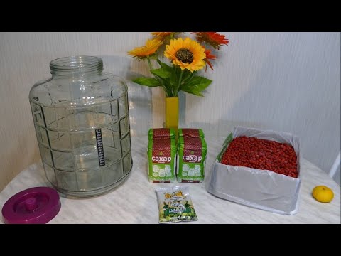 Видео: Сахарная брага со вкусом красной рябины на дрожжах Хмельной эксперт