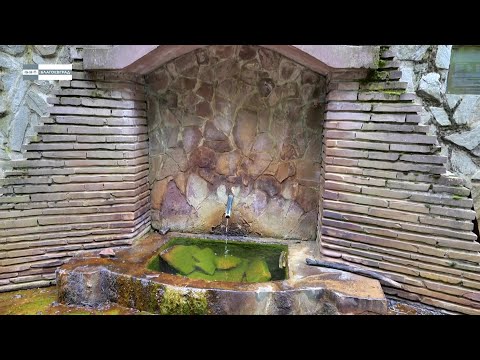 Видео: 10 000 крачки до брезнишката желязна минерална вода и паркът „Бърдото“