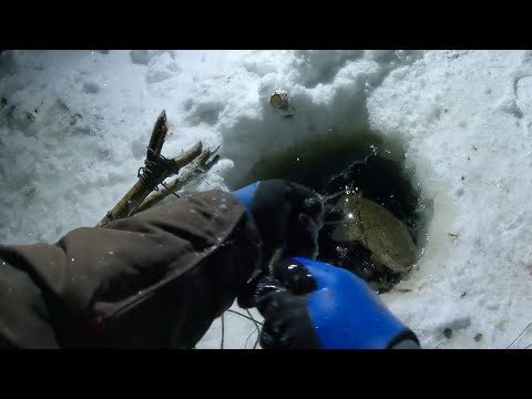 Видео: ПРОВЕРКА ПЕРЕМЕТА РАННИМ УТРОМ | 19.11.2025