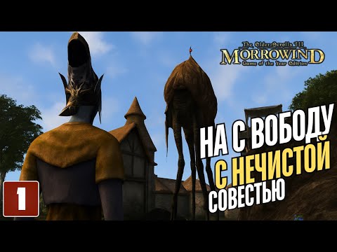 Видео: Морровинд — Серия 1: Болота, Фаргот и Сейда Нин