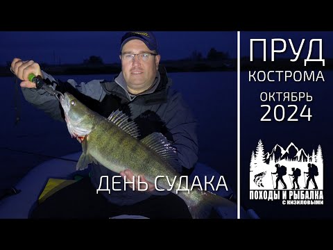 Видео: День судака (рыбалка на спиннинг в октябре)