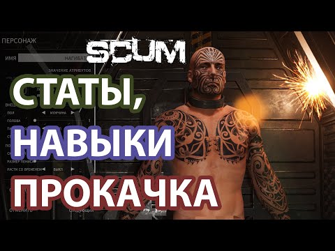 Видео: SCUM | 0.7 | ГАЙД ДЛЯ НОВИЧКОВ, НАВЫКИ, СТАТЫ И ПРОКАЧКА ПЕРСА В 2022 ГОДУ!