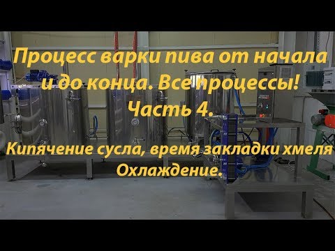 Видео: Как я варю пиво. Часть 4. (Кипячение сусла, внесение хмеля, охлаждение)