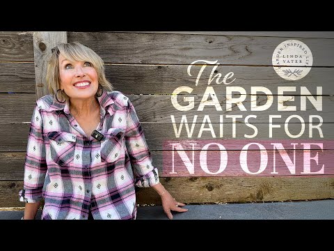 Видео: Осеннее садоводство никого не ждет 🌿