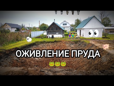 Видео: Очистка и углубление ПРУДА. Работа на ЭКСКАВАТОРЕ. Таймлапс.