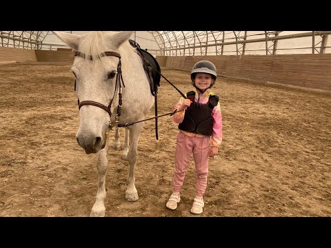 Видео: Супер обзор и тур по конюшне! Верховая езда Маши на лошади!