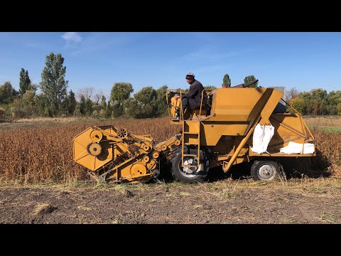 Видео: Молотимо сою комбайном Sampo-130  З трактором Dongfeng-254