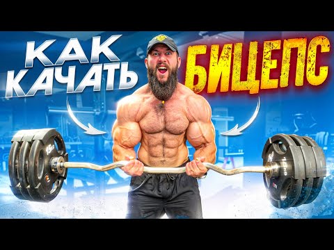Видео: КАК ПРАВИЛЬНО ТРЕНИРОВАТЬ БИЦЕПС?