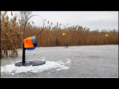 Видео: ПЕРВЫЙ ЛЁД с НОЧЁВКОЙ. Раздача щуки на жерлицы. Зимняя рыбалка на жерлицы