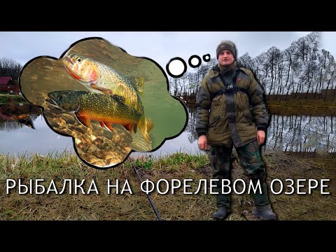 Видео: ОТКРЫТИЕ ФОРЕЛЕВОГО ПРУДА, ФОРЕЛЕВАЯ РЫБАЛКА, ПЕРВЫЙ ОПЫТ (Воронежская область 2021)