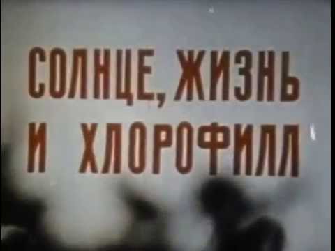 Видео: Гидропоника польза или вред.  Жизнь из солнца и воды. Хлорофил, витграсс, Vitgrass, Jivi200.ru