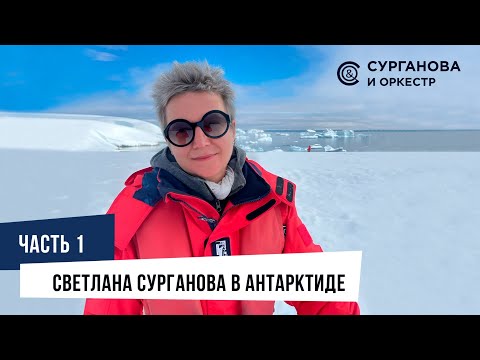 Видео: Светлана Сурганова в Антарктиде. Часть 1