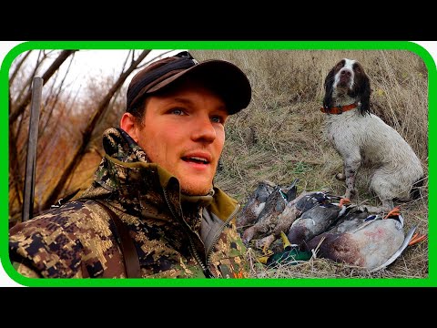 Видео: НАКОНЕЦ-ТО ОХОТА С СОБАКОЙ! ОХОТА НА УТКУ С ТОВАРИЩЕМ. НОЧЁВКА