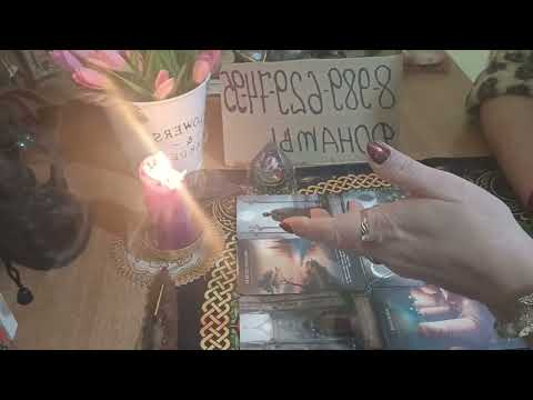 Видео: Что скажут карты!? 💯👍🗽😱🫂