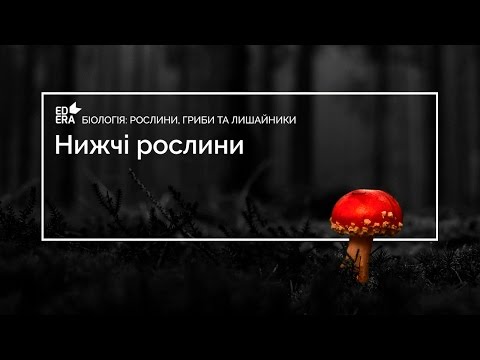 Видео: Нижчi рослини (Зелені та діатомові водорості). Відео 1 4 1 2