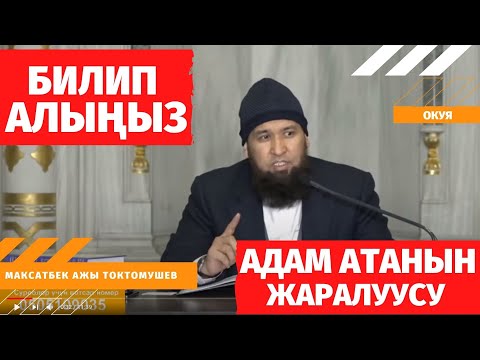 Видео: АДАМ АТАНЫН жаралуусу