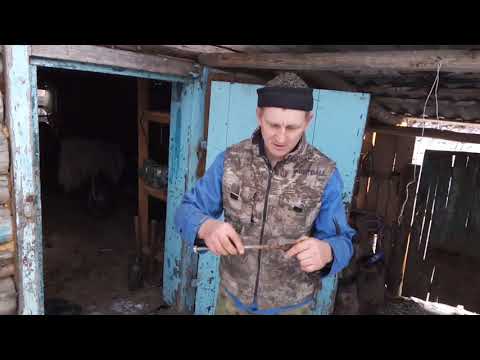 Видео: Вечерняя управа в нашем хозяйстве.