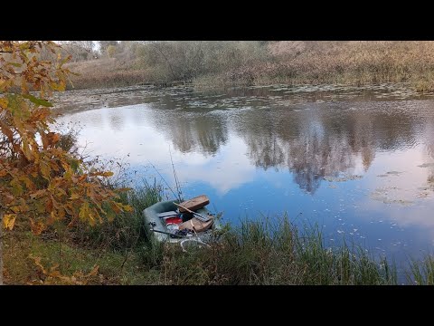 Видео: Щука тащит КРУЖОК. Есть ТРОФЕЙ. Красивая поклёвка и Великолепная природа!!!