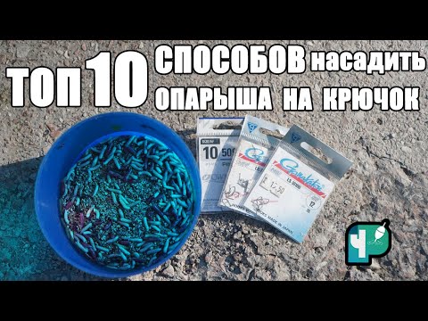 Видео: ТОП 10 способов насадить опарыша на крючок