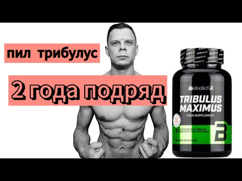 Видео: Трибулус. Как применять. Повышает ли тестостерон?