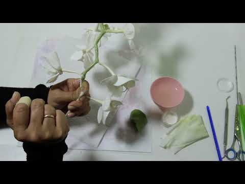 Видео: 3 часть Орхидеи из холодного фарфора от Чулпан Хисмеевой