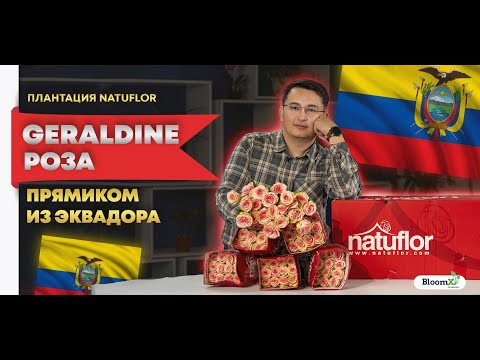 Видео: GERALDINE I NATUFLOR I ЭКВАДОР I ЦВЕТЫ ОПТОМ I АСТАНА