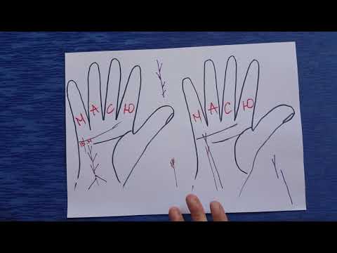 Видео: Окончание и ответвления от линии Меркурия. Хиромантия