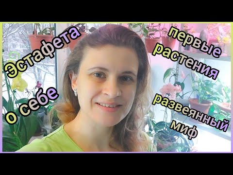 Видео: #ЭСТАФЕТА 🏃‍♀️О себе💚Семья, увлечения💚Первые #растения #цветы💚Развеваю миф💚Кому передам🏃‍♀️🏃‍♀️🏃‍♀️
