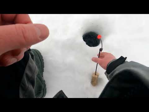 Видео: КОРЮШКА в АНДРУСОВО. ПОКЛЕВКИ в КАЖДОМ КАДРЕ. КАРЕЛИЯ