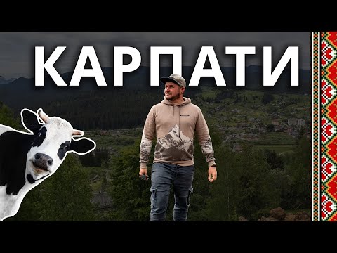 Видео: КАРПАТИ 2023! Водоспад Великий Гук та Ворота, печера Довбуша, Косів,  гора Копець, Інста Бук